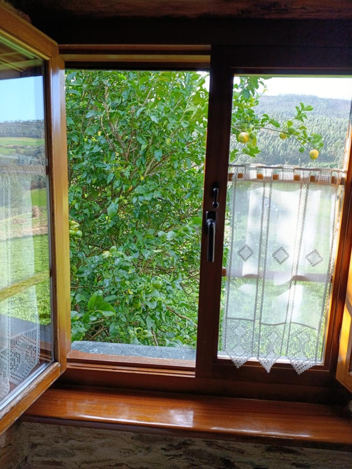 Apartamentos Rio Eo San Tirso de Abres Εξωτερικό φωτογραφία